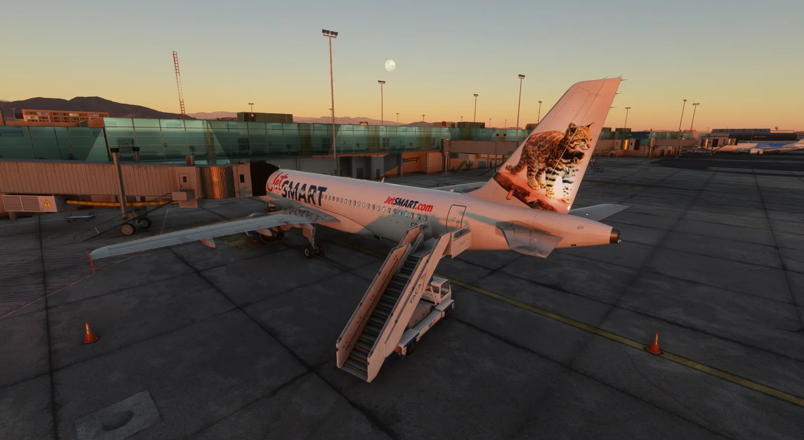 Fenix A320 JetSMART CC-DIG (CFM) — Gallery 10