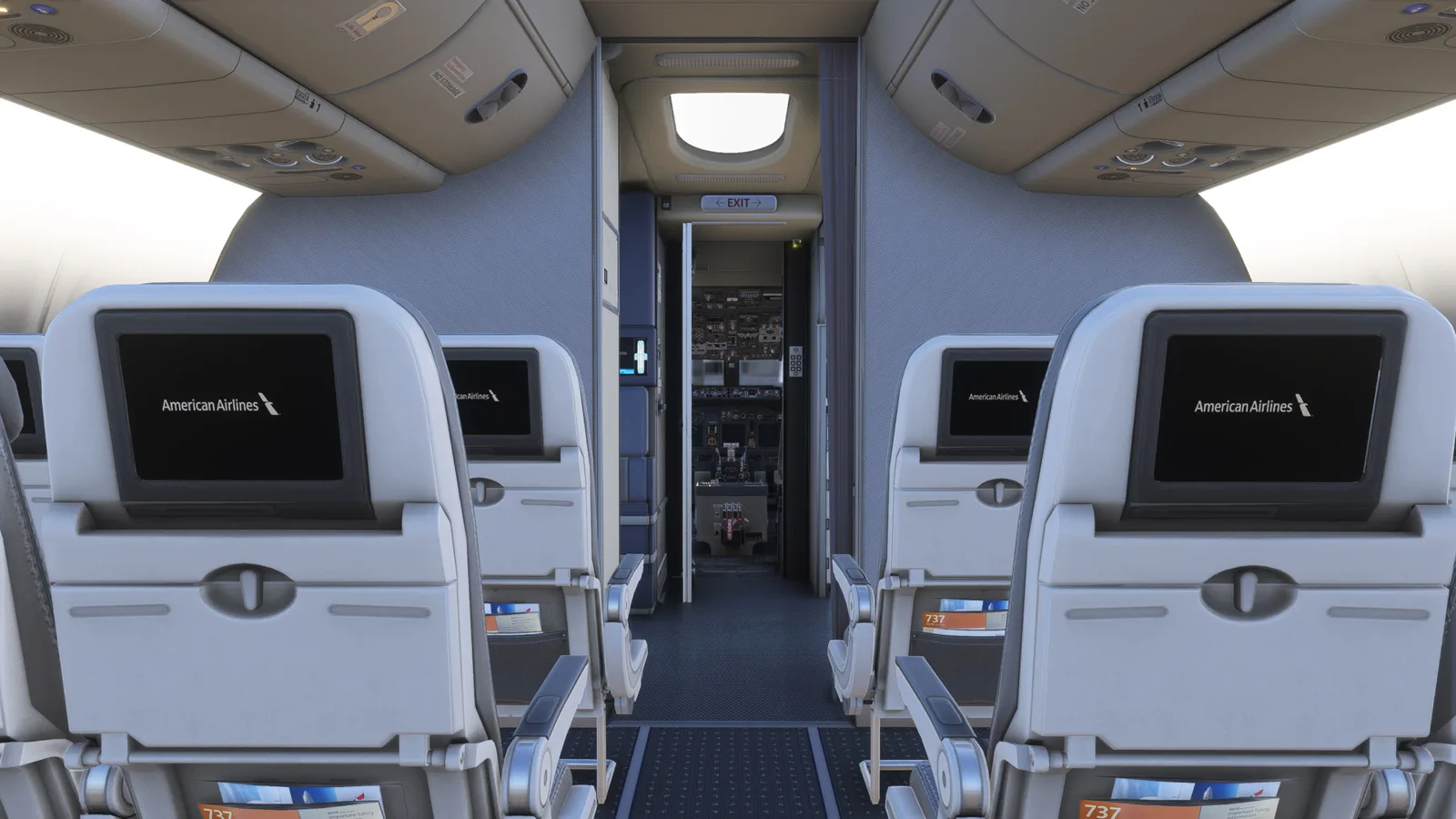 Boeing 737-800 American Airlines 100th Anniversary (N840NN) — Gallery 37