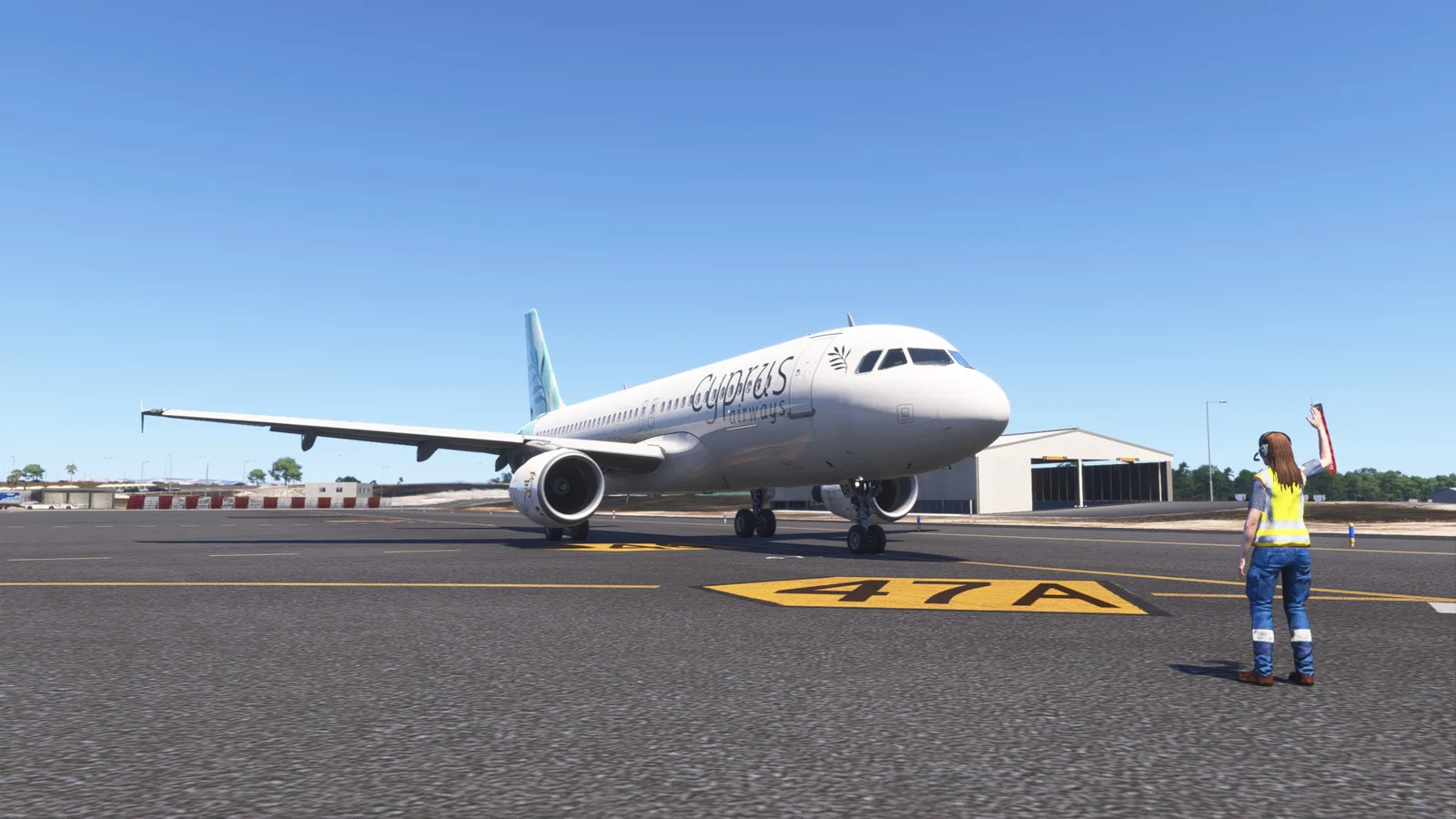 Airbus A320 Cyprus Airways (5B-DDR) — Gallery 12