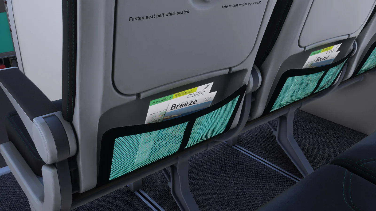 Airbus A320 Cyprus Airways (5B-DDR) — Gallery 41