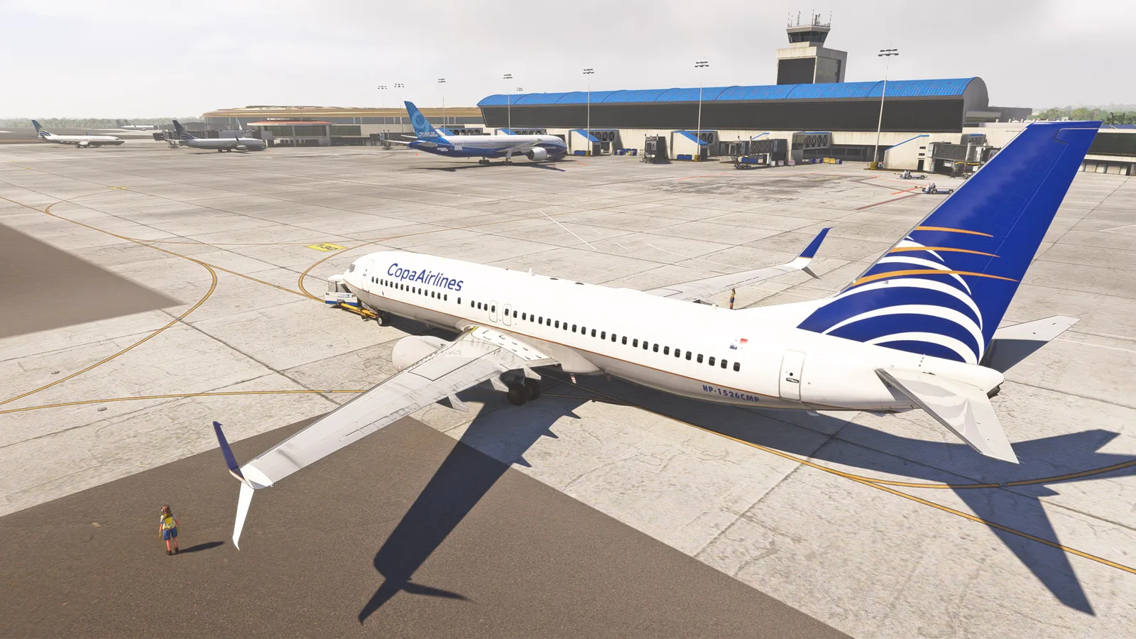 Boeing 737-800 Copa Airlines (HP-1526CMP) — Gallery 11