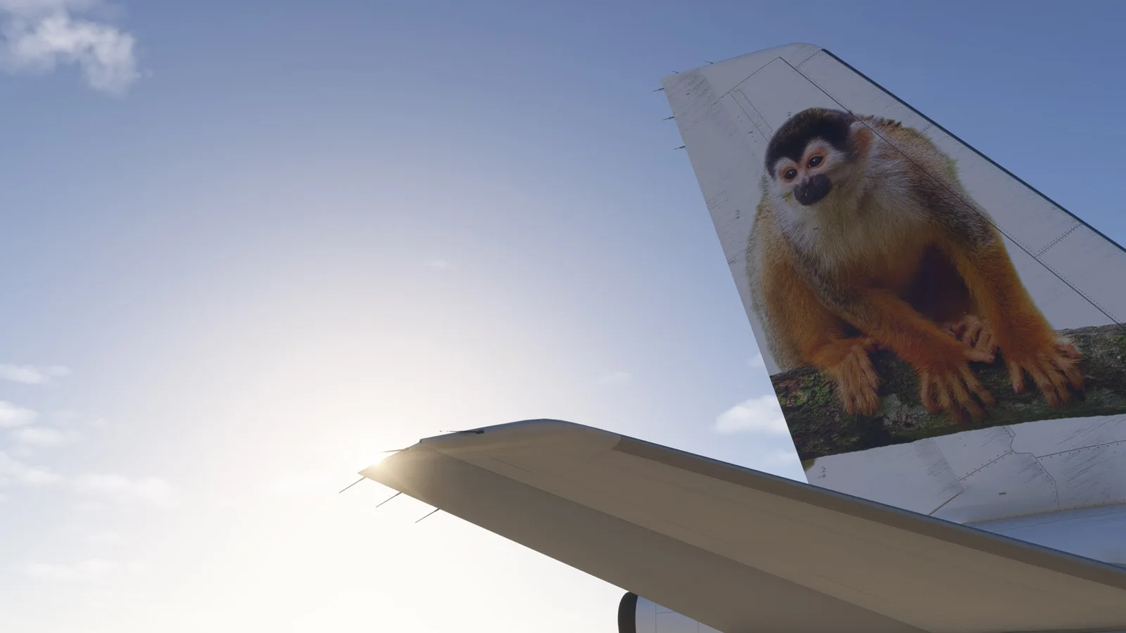 Airbus A321neo JetSMART (CC-DIS) Mono Ardilla — Gallery 1
