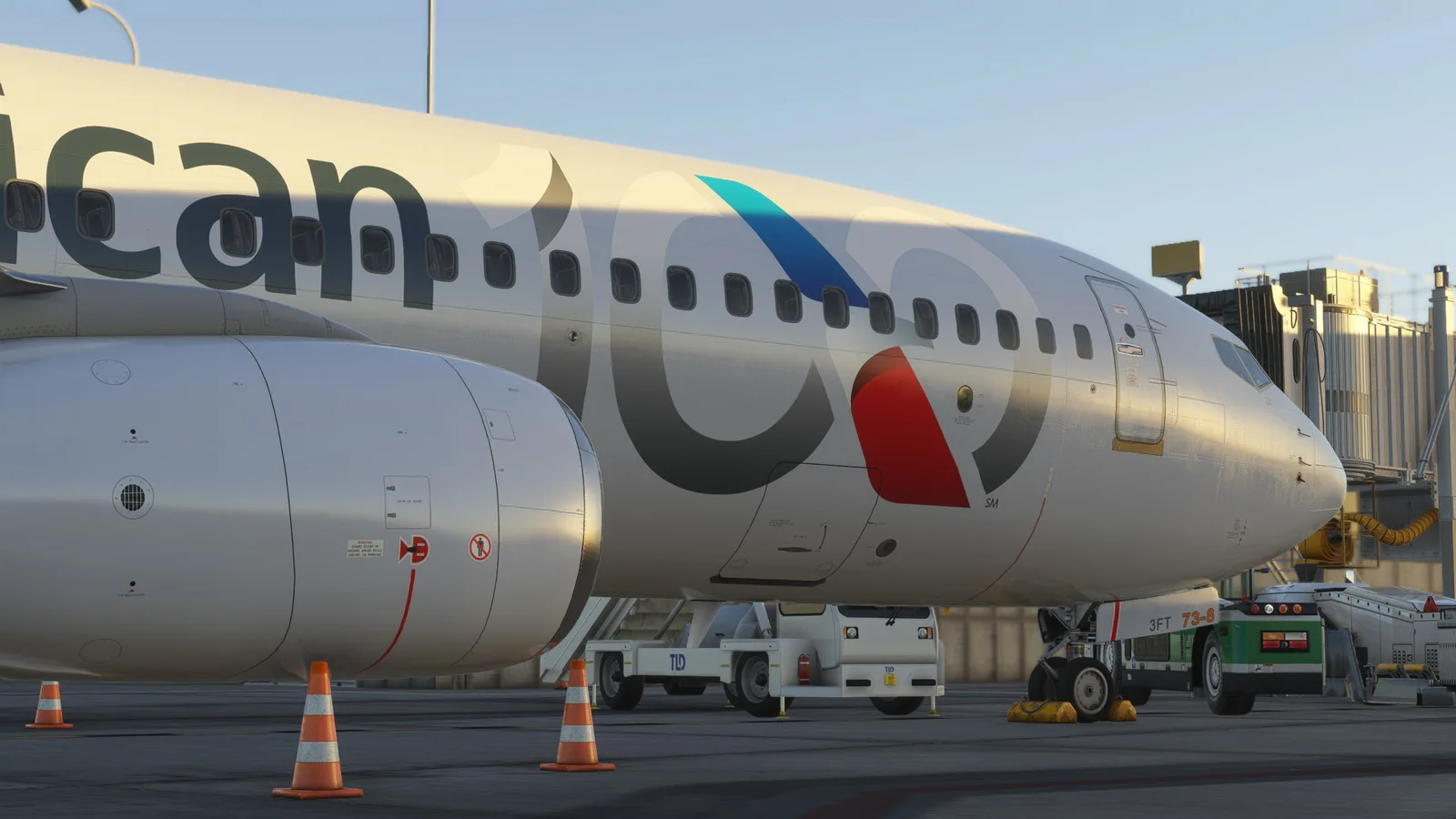 Boeing 737-800 American Airlines 100th Anniversary (N840NN) — Gallery 23