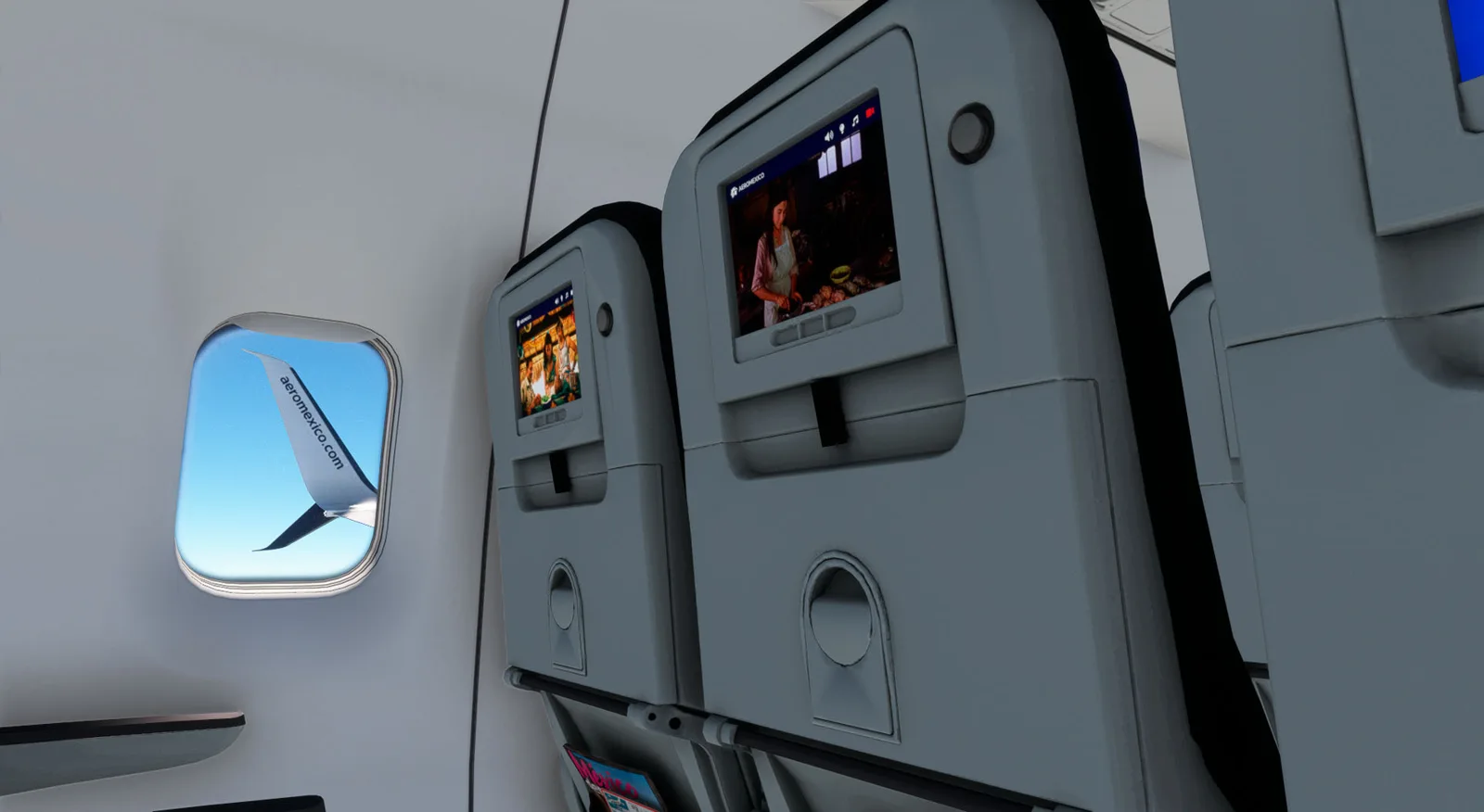 PMDG 737-800 Aeroméxico 90th Anniversary — Gallery 33
