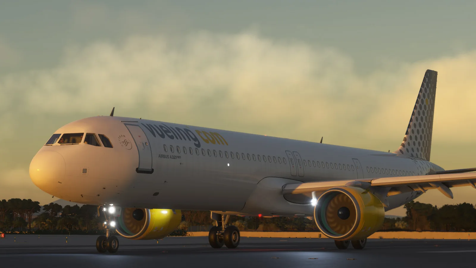 Airbus A321neo Vueling (PACK) — Gallery 10