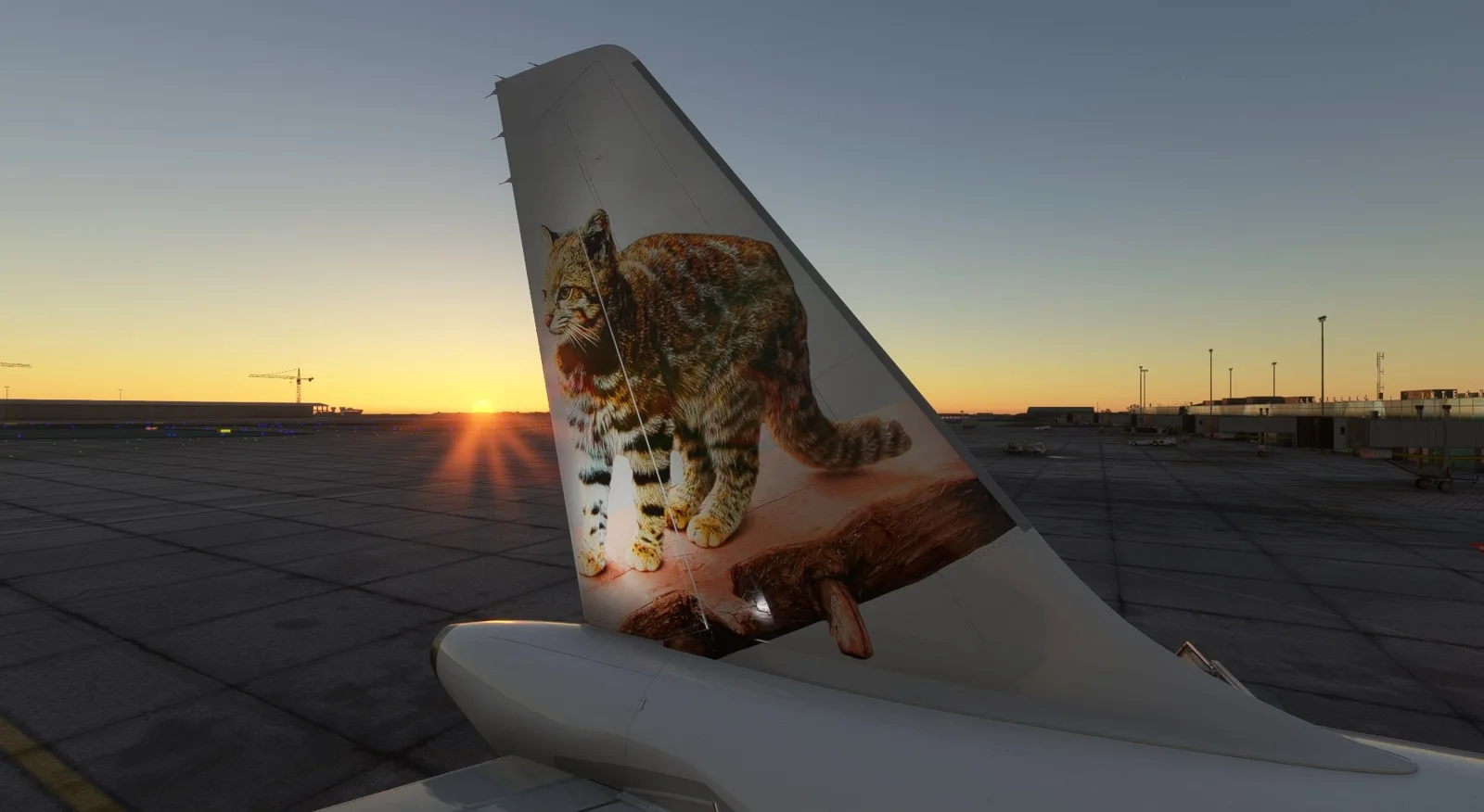 Fenix A320 JetSMART CC-DIG (CFM) — Gallery 2