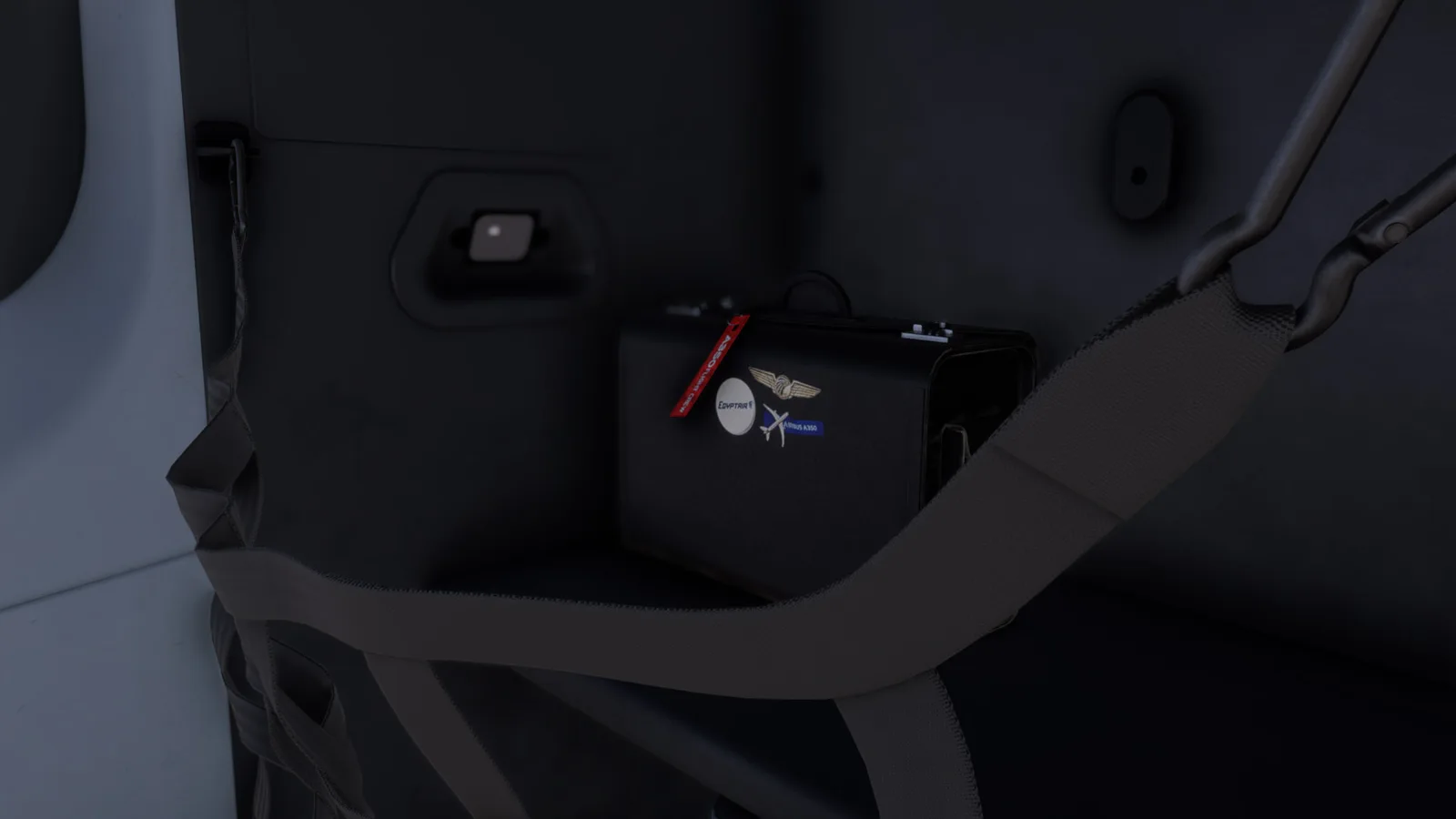 Airbus A350 EgyptAir — Gallery 24