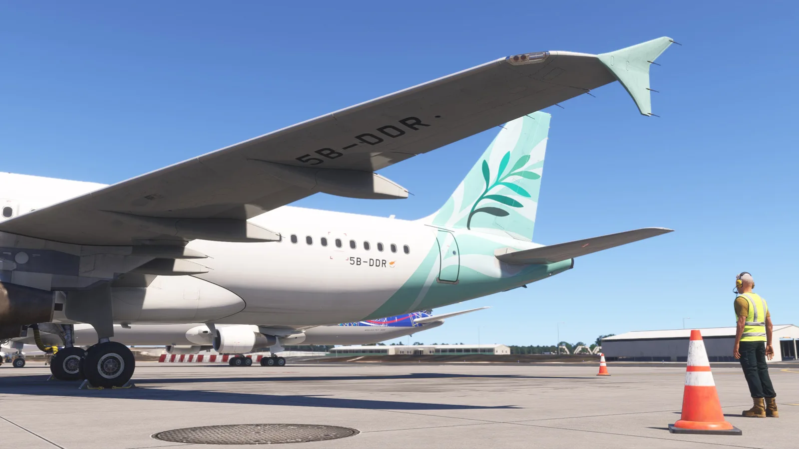 Airbus A320 Cyprus Airways (5B-DDR) — Gallery 17