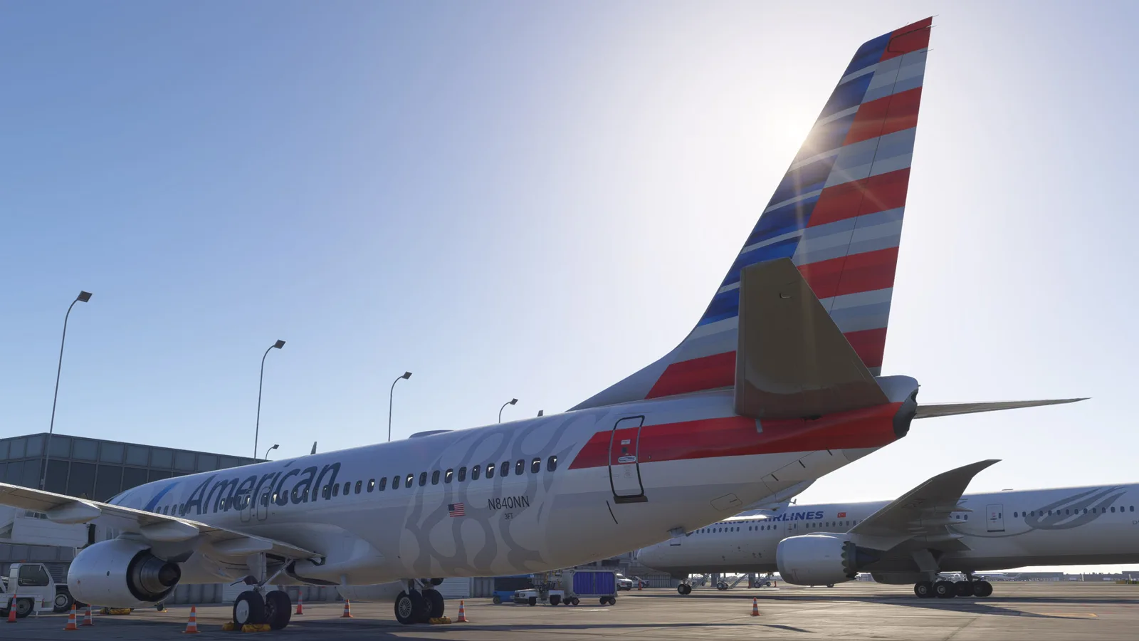 Boeing 737-800 American Airlines 100th Anniversary (N840NN) — Gallery 31