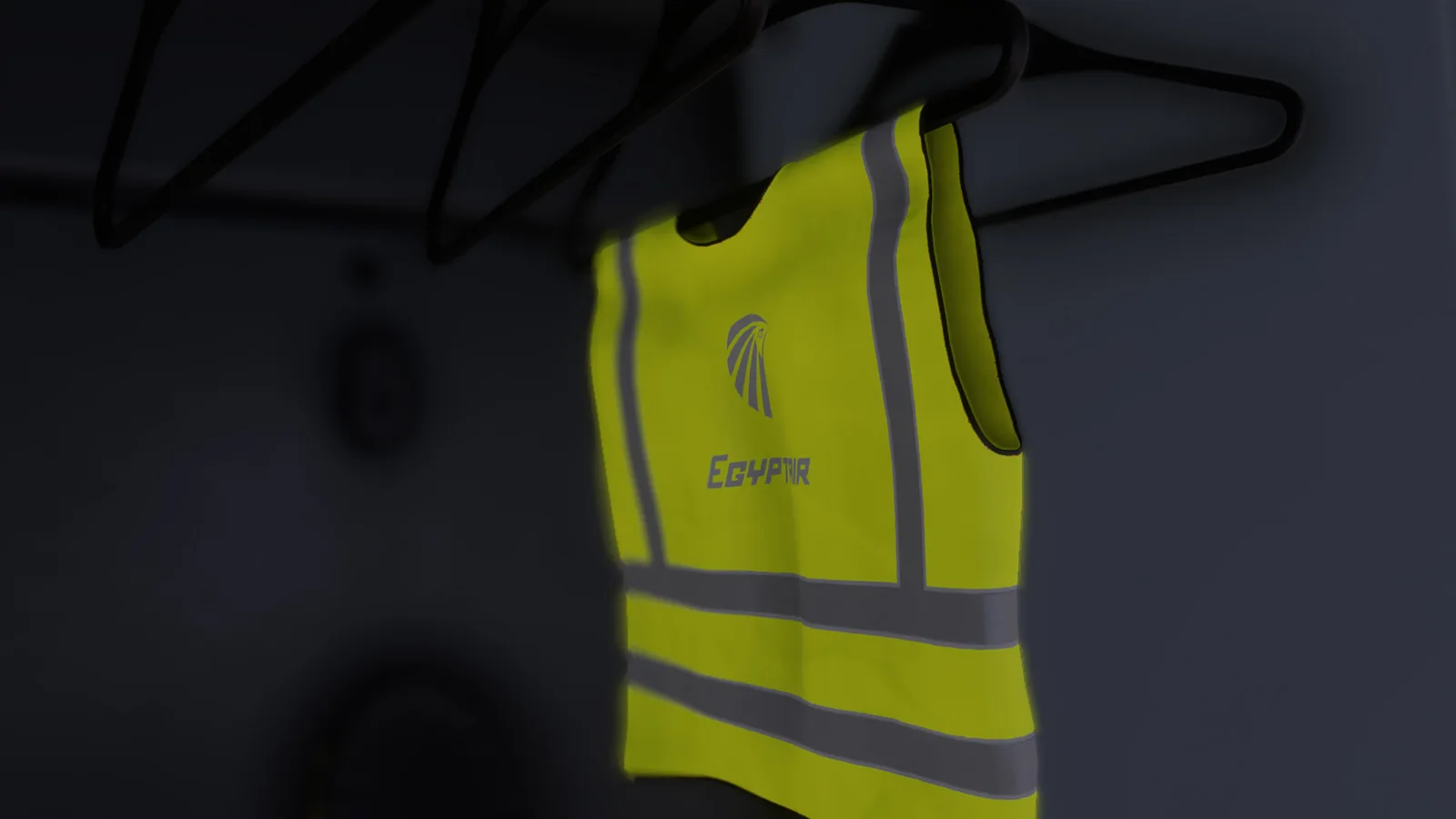 Airbus A350 EgyptAir — Gallery 25
