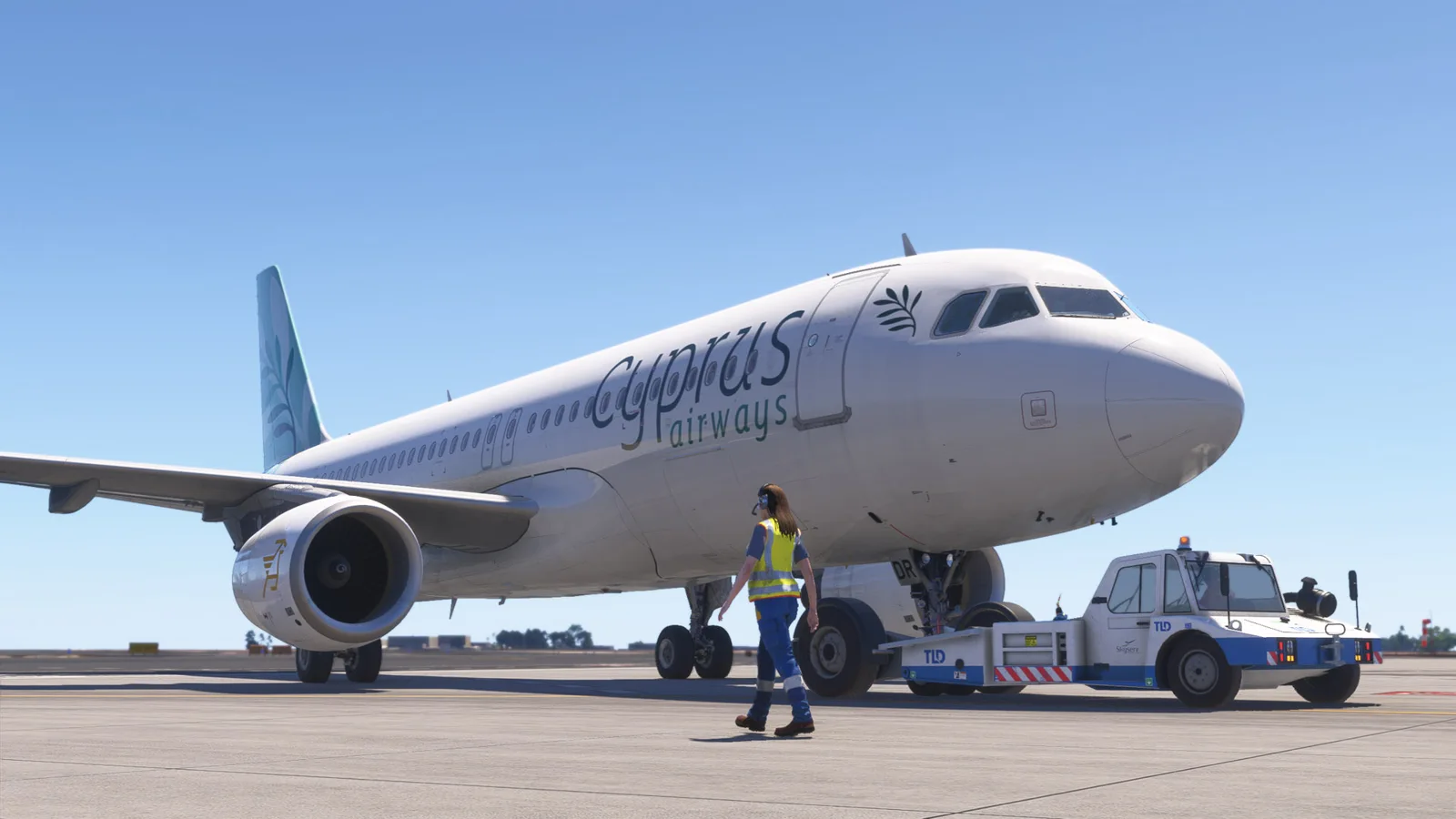 Airbus A320 Cyprus Airways (5B-DDR) — Gallery 29