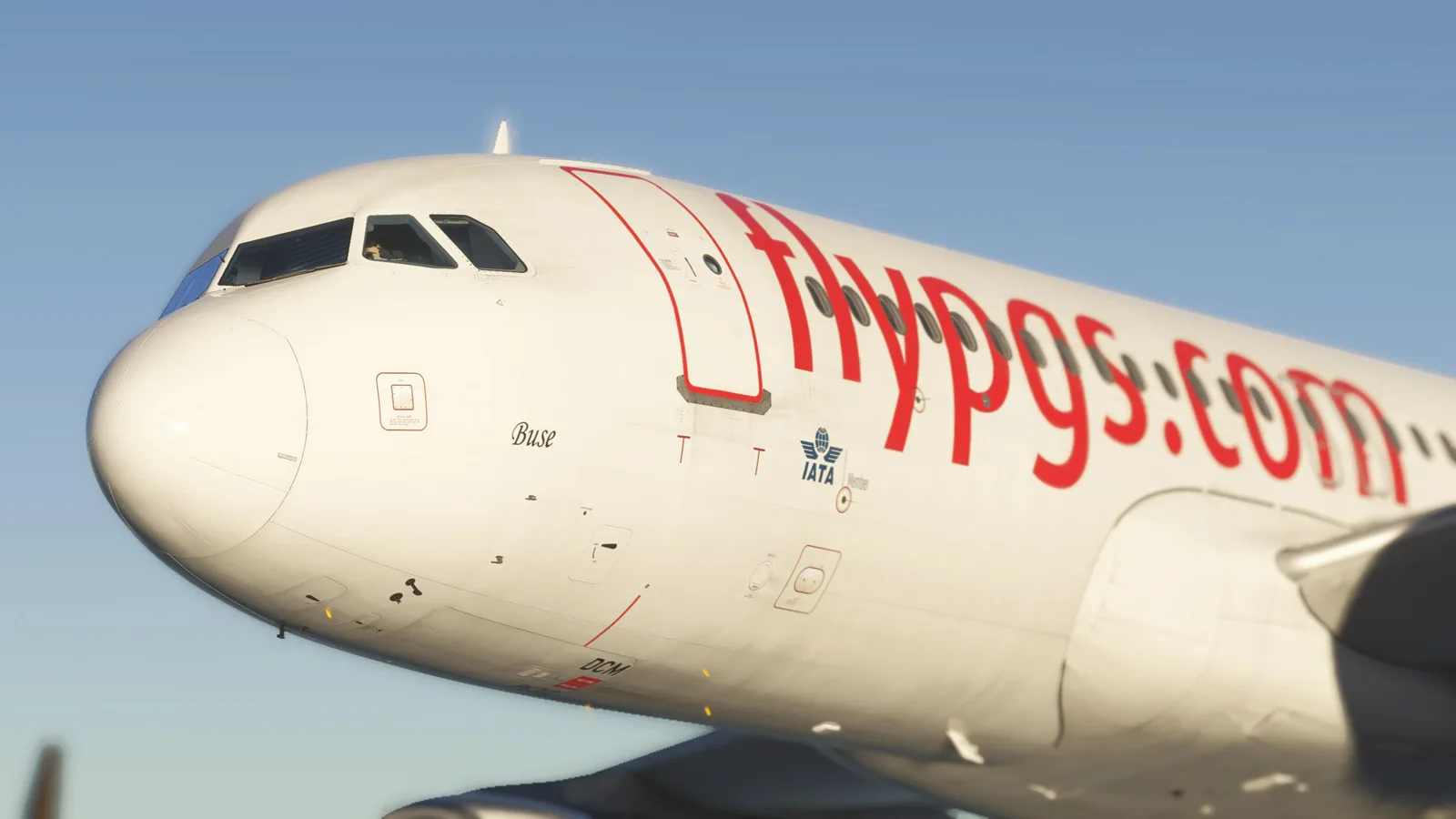 Airbus A320 Pegasus (TC-DCM) "Buse"