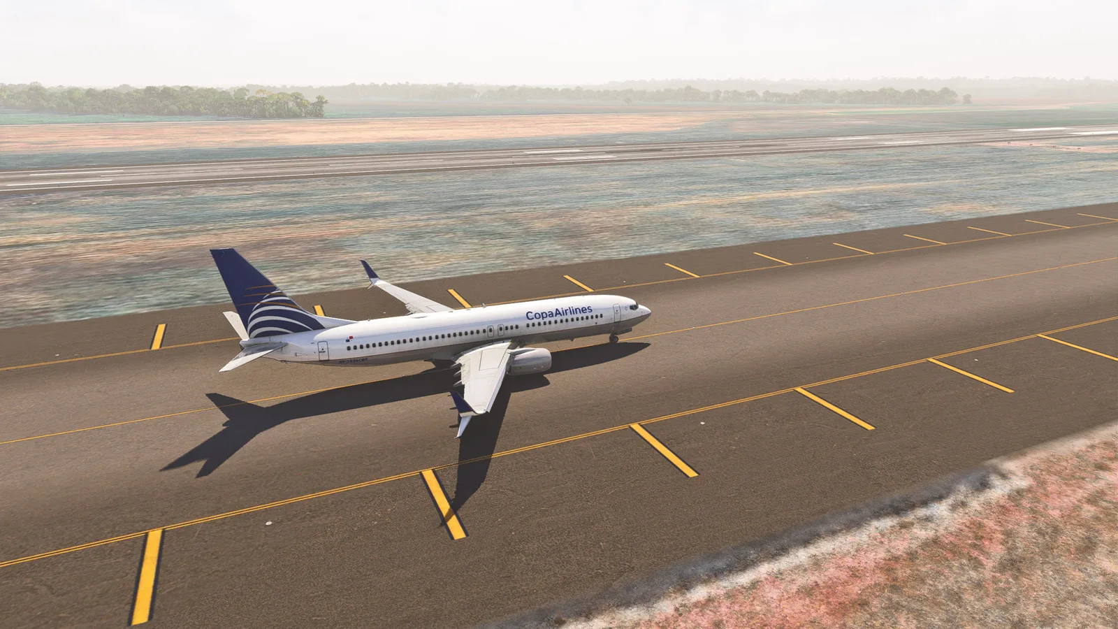 Boeing 737-800 Copa Airlines (HP-1526CMP) — Gallery 25