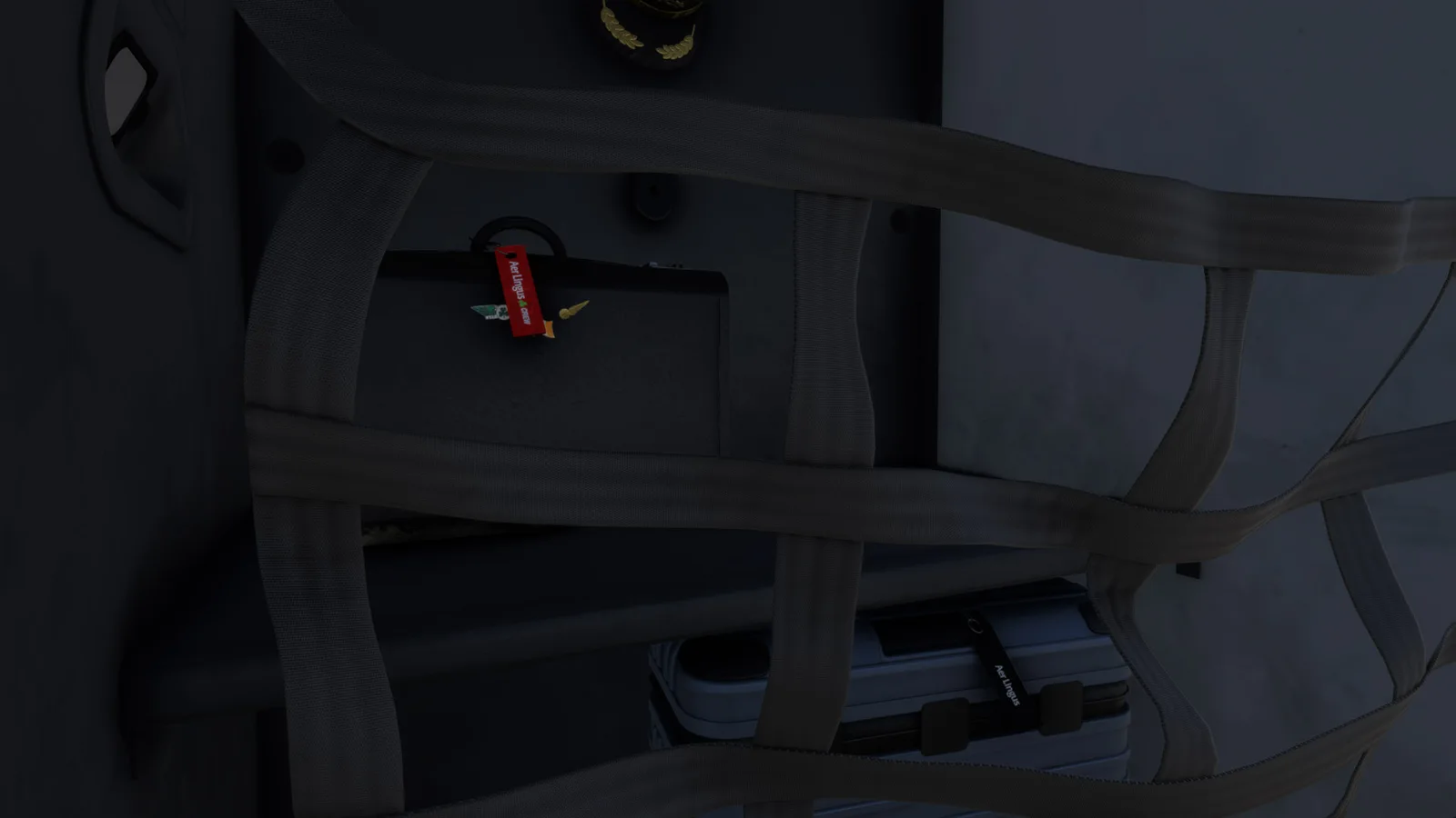 Airbus A350 Aer Lingus (Fictional) — Gallery 27